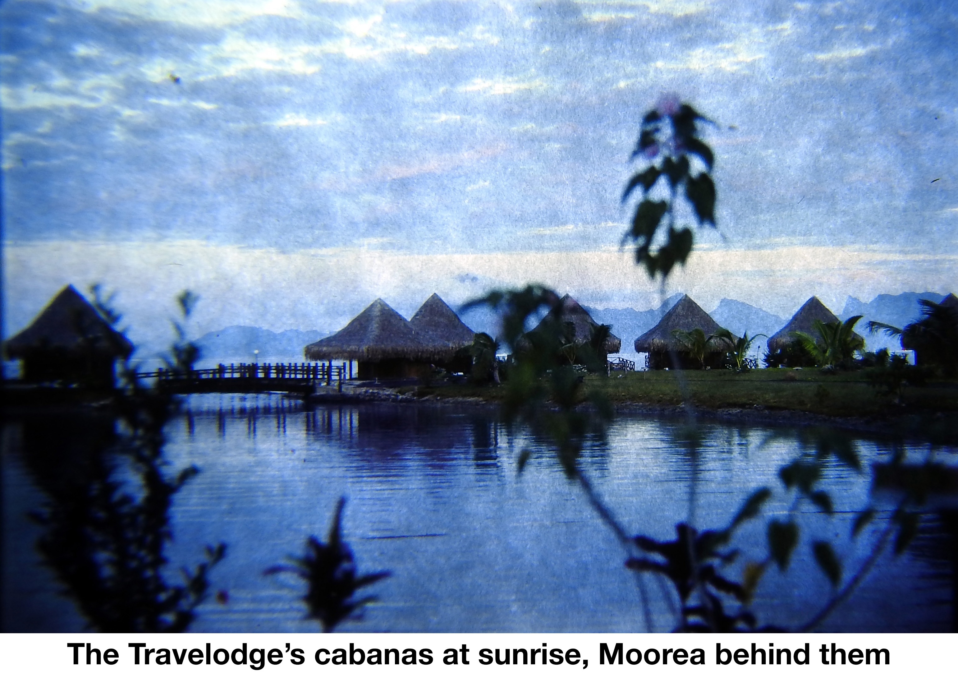 Grass-roofed huts 