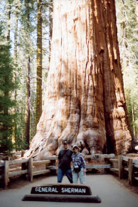 Doug and Gail at the base of the General Sherman tree