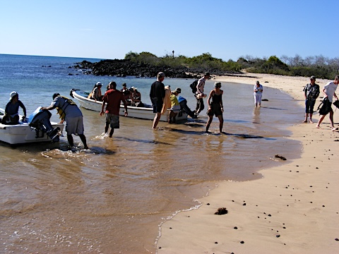 Two pangas are backed up to the beach           and passengers and crew are wading ashore