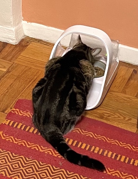 We see Zoeys back as she is feeding
